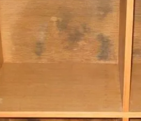 家具发霉处理方法